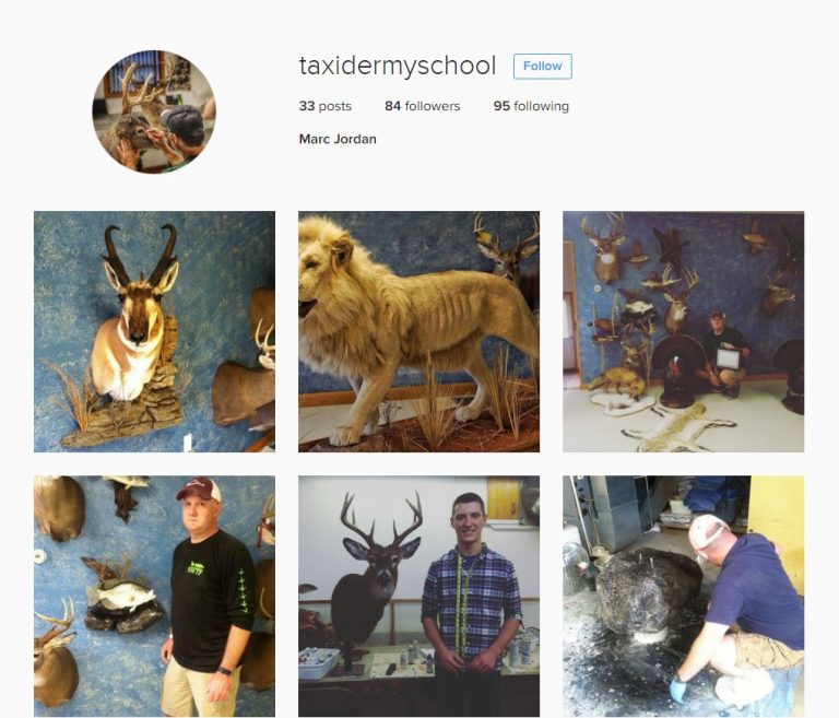 Pennsylvania School Of Taxidermy